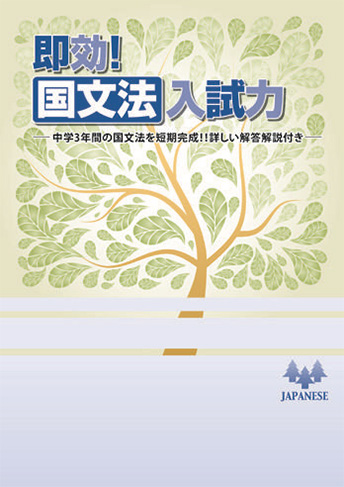 即効！ 国文法 入試力